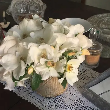 Bed & Breakfast Casa La Preziosa Mondovì